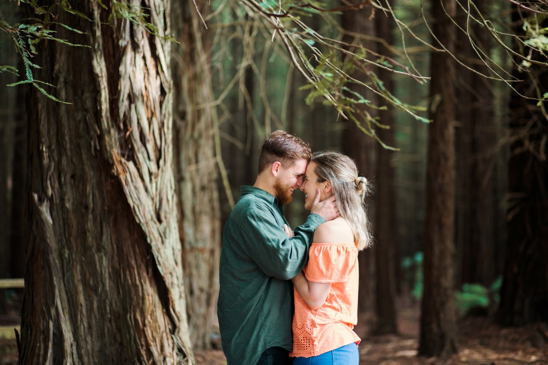 Rotorua Redwoods engagement wedding portrait